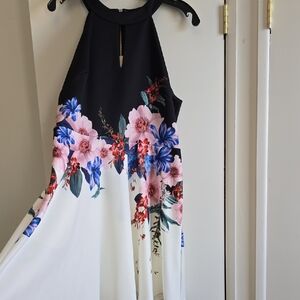 Ted Baker Navy Dress